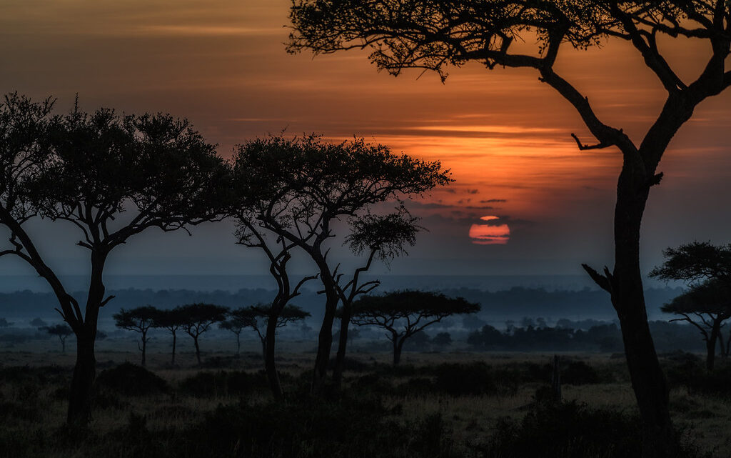 Découvrir le Kenya au-delà des Safaris