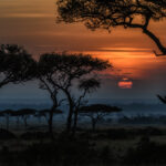 Lever de soleil au Masai Mara