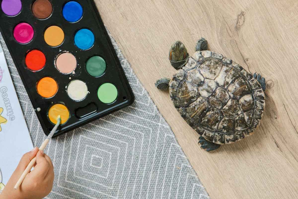 Enfant coloriant une tortue avec des aquarelles sur une table en bois Enfant coloriant une tortue avec des aquarelles sur une table en bois